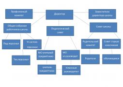 Схема структуры и органов управления образовательной организацией